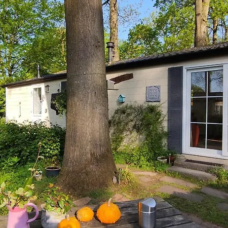 Hébergement de vacances Boshuisje Wageningue